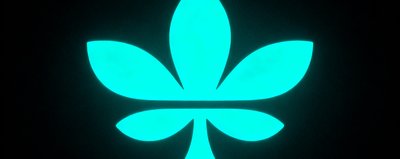 阿迪达斯品牌Logo，经典三叶草图案以霓虹青色呈现